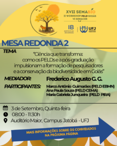 mesa redonda 2 (2)